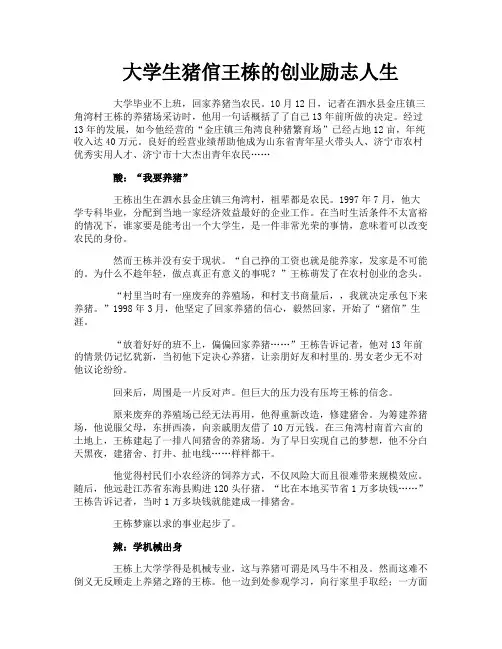 大学生猪倌王栋的创业励志人生