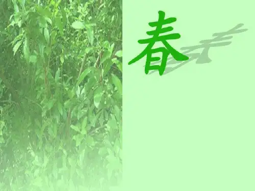 《石榴》课件