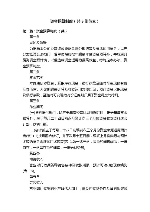 资金预算制度（共5则范文）