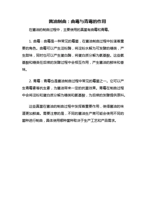 酱油制曲过程中的主要真菌