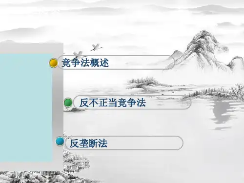 第八章竞争法ppt课件全