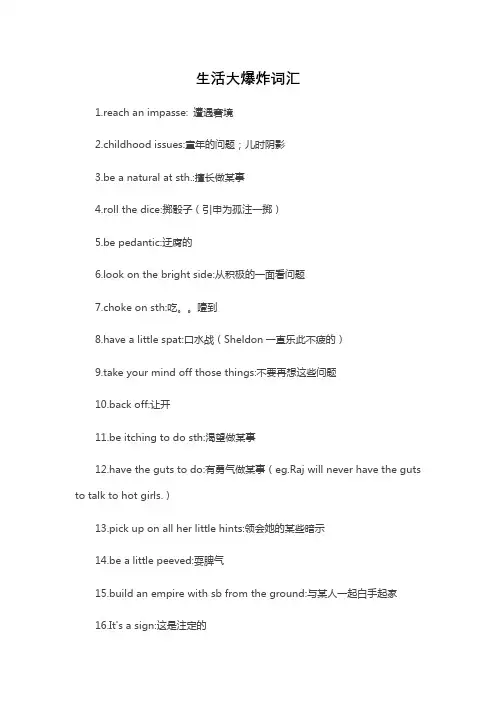 生活大爆炸词汇