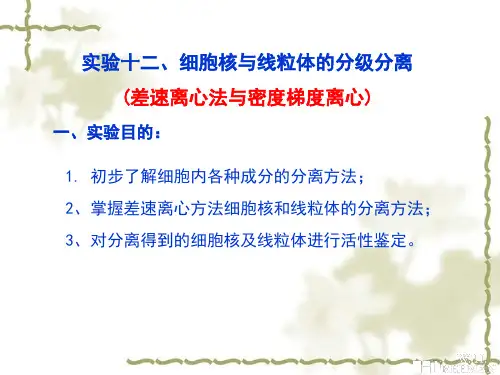 细胞核与线粒体的分离