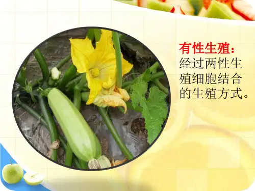 无性生殖ppt医学课件