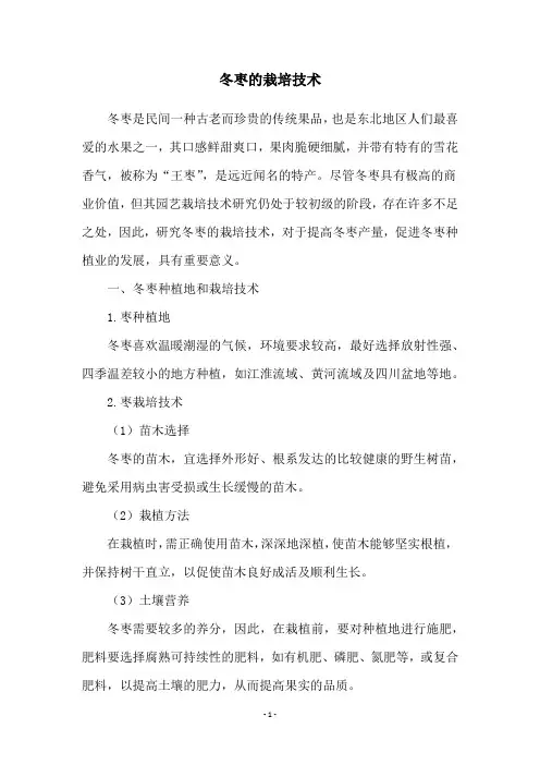 冬枣的栽培技术