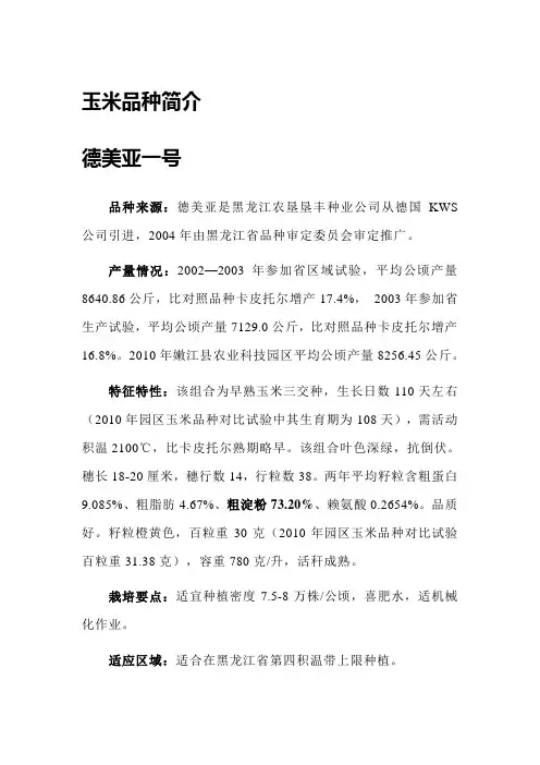 玉米品种介绍