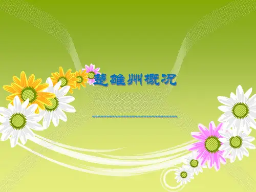 楚雄州概况
