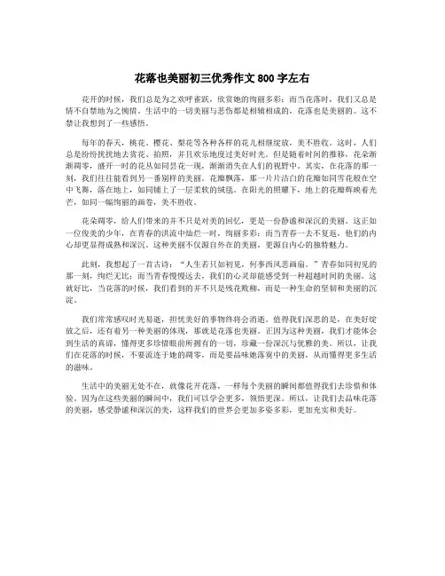 花落也美丽初三优秀作文800字左右
