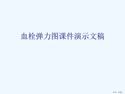 血栓弹力图课件演示文稿