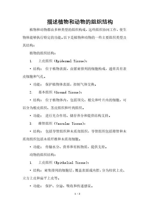 描述植物和动物的组织结构