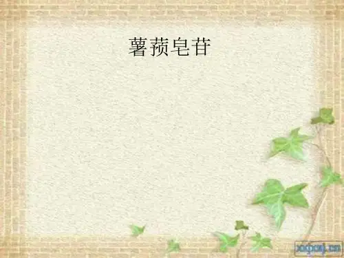 薯蓣皂苷