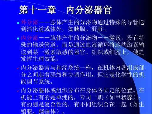 鱼类学-内分泌器官