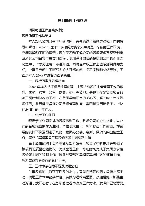 项目助理工作总结（6篇）