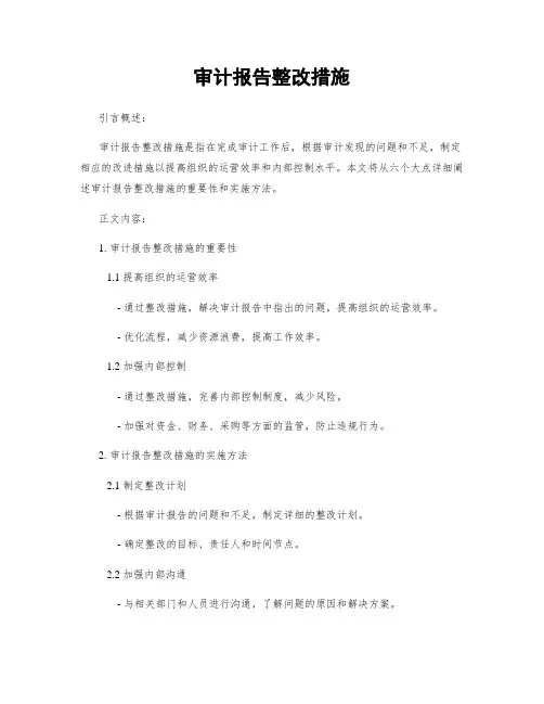 审计报告整改措施