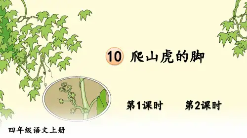 部编人教版四年级语文上册《10 爬山虎的脚》优秀PPT课件