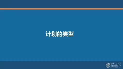 计划的类型