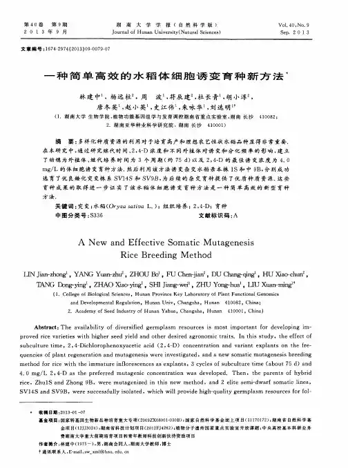 一种简单高效的水稻体细胞诱变育种新方法