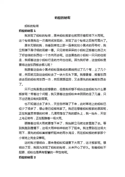 蚂蚁的秘密