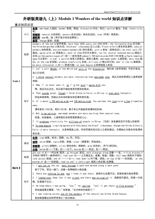 Module-1-Unit-1-外研版英语九年级上册知识点详解