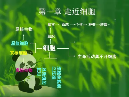 必修一生物复习课件全册