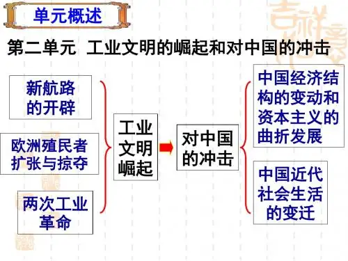7、-新航路的开辟(新修改)解析