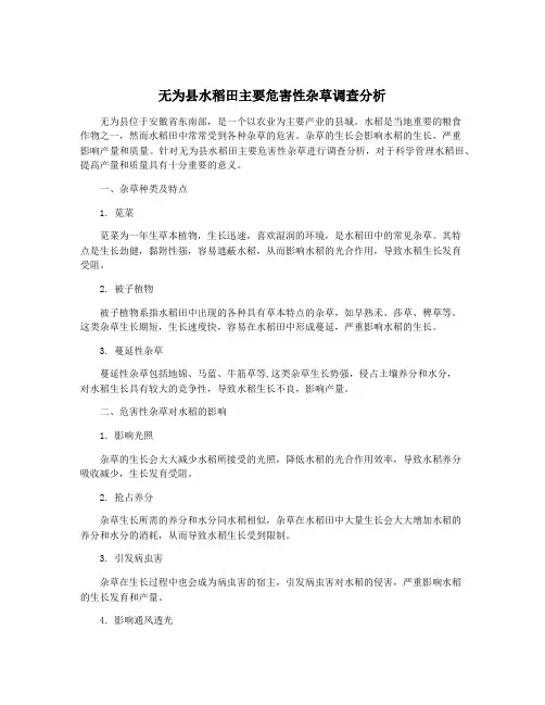 无为县水稻田主要危害性杂草调查分析