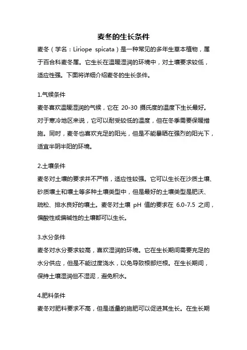 麦冬的生长条件