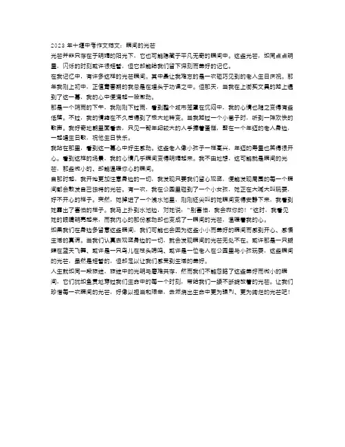 2023年十堰中考作文范文：瞬间的光芒