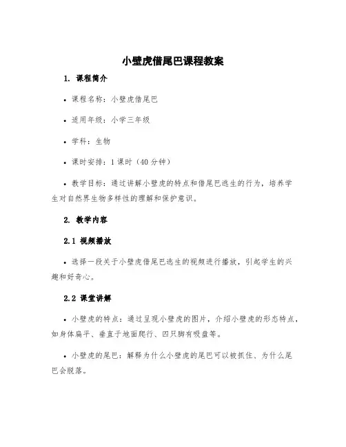 小壁虎借尾巴说课稿