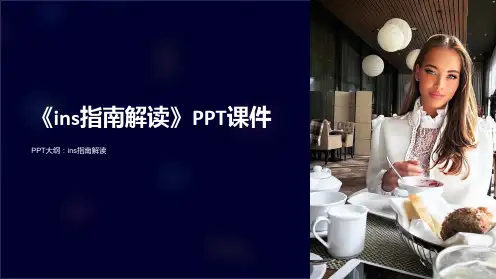 《ins指南解读》课件