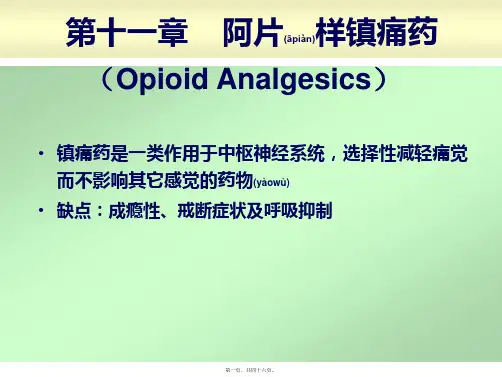 2022年医学专题—第十一节--阿片样镇痛药