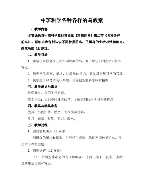中班科学各种各样的鸟教案