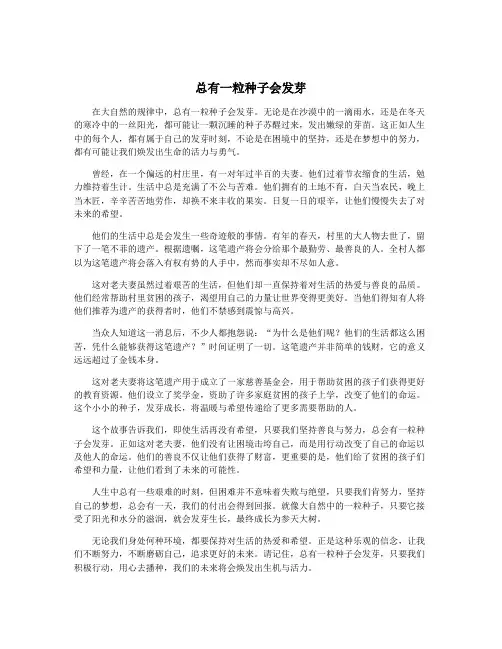 总有一粒种子会发芽
