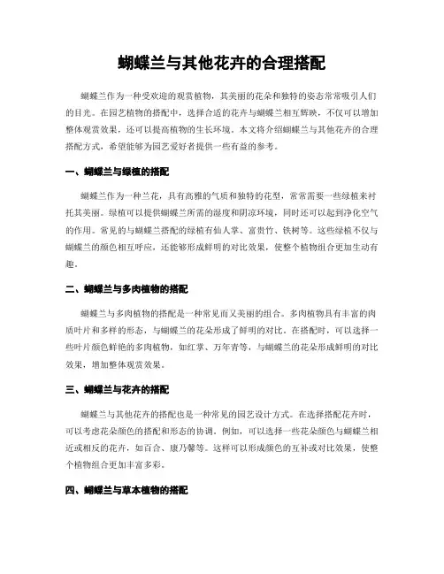 蝴蝶兰与其他花卉的合理搭配