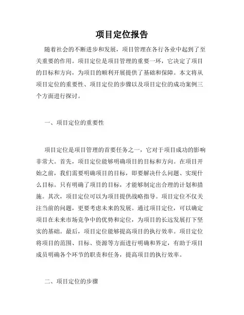 项目定位报告