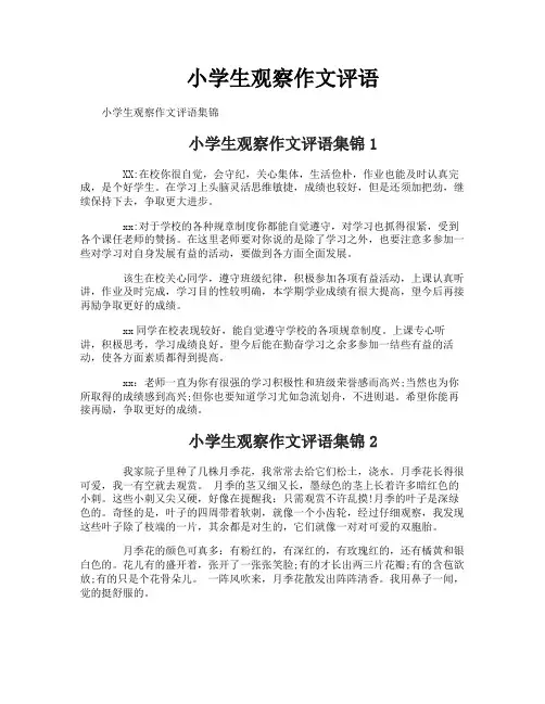 小学生观察作文评语