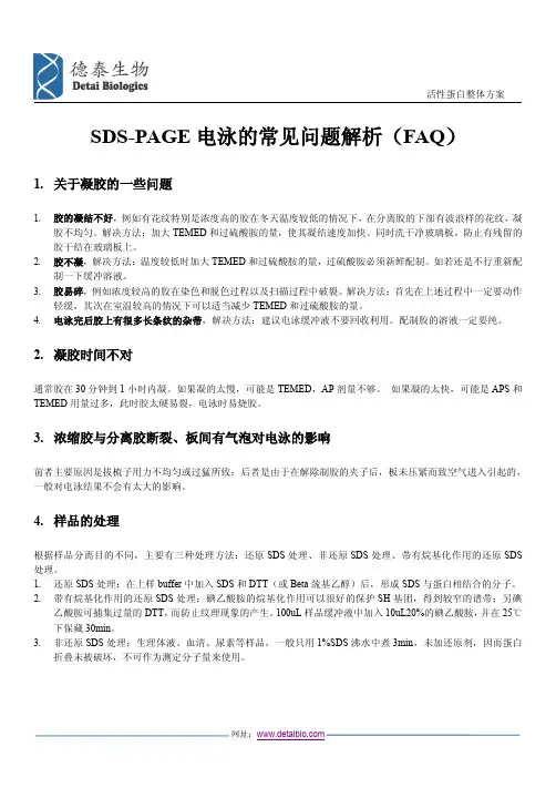SDS-PAGE电泳的常见问题解析(FAQ)