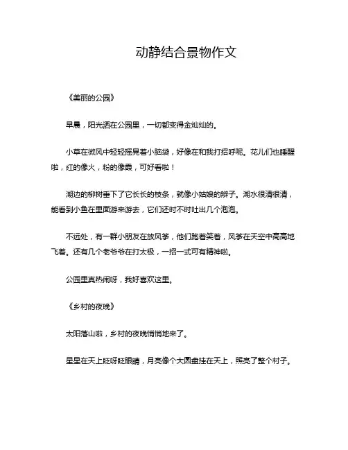 动静结合景物作文