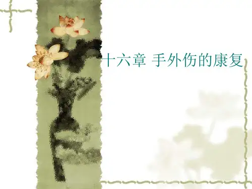 手外伤康复PPT课件