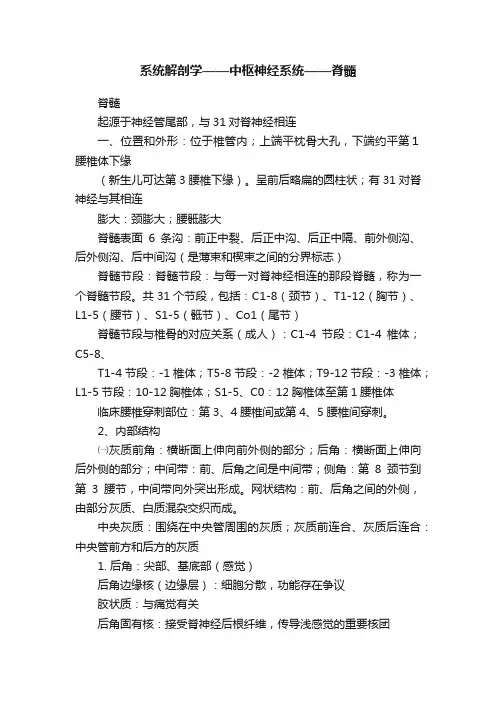 系统解剖学——中枢神经系统——脊髓