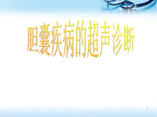 胆囊超声精品PPT课件