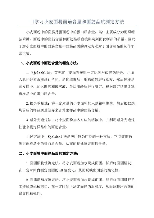 目学习小麦面粉面筋含量和面筋品质测定方法