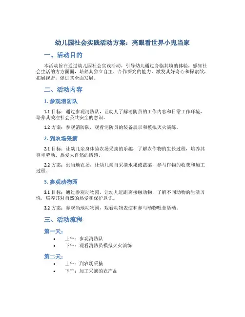 幼儿园社会实践活动方案：亮眼看世界小鬼当家
