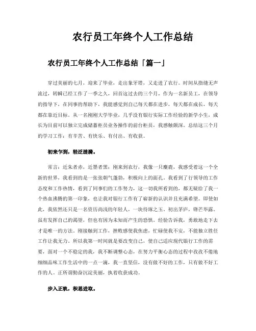 农行员工年终个人工作总结