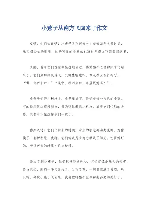 小燕子从南方飞回来了作文