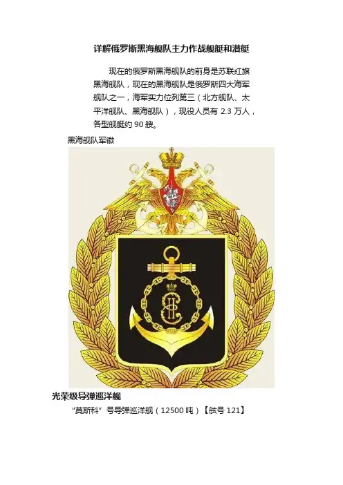 详解俄罗斯黑海舰队主力作战舰艇和潜艇