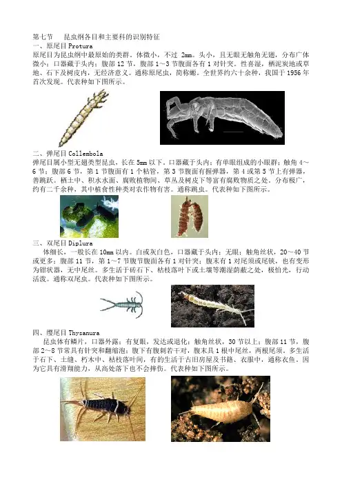 最全面的昆虫纲各目和主要科的识别特征
