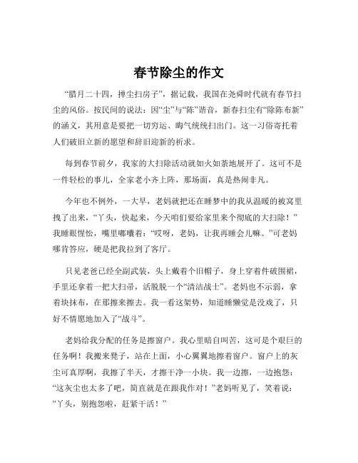 春节除尘的作文