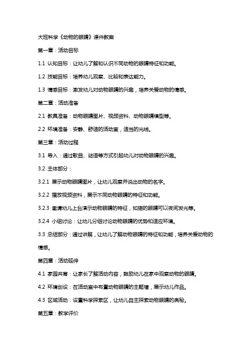 大班科学《动物的眼睛》课件教案