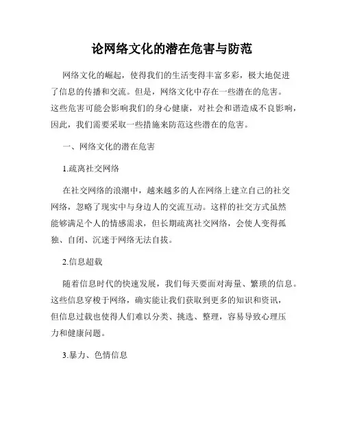 论网络文化的潜在危害与防范